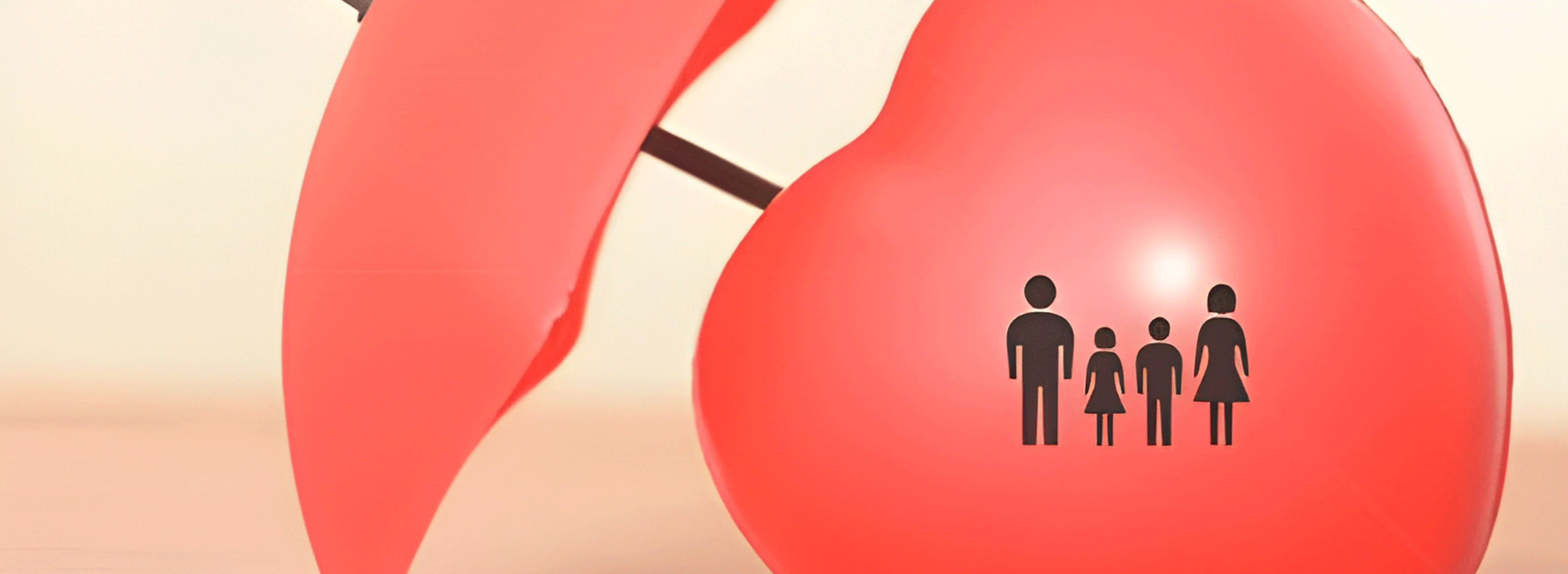 adamjeelife insurance policy