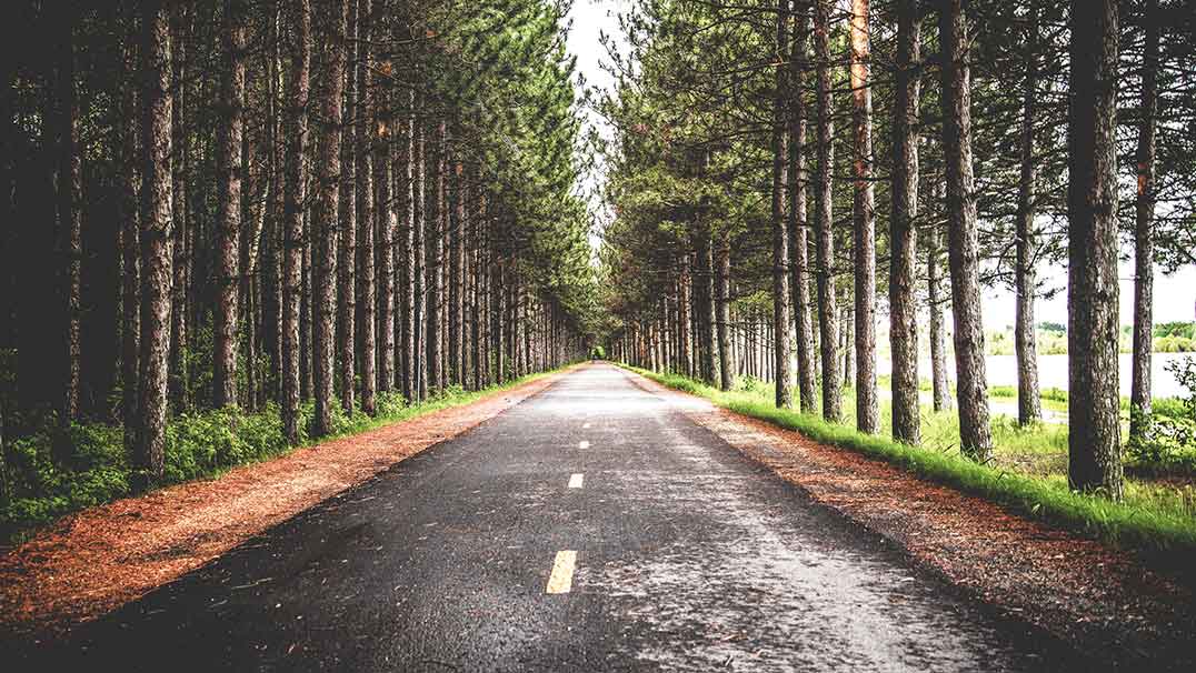 adamjeelife insurance policy