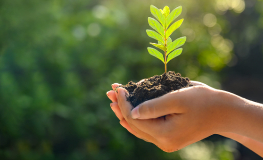 adamjeelife insurance policy