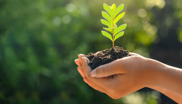 adamjeelife insurance policy