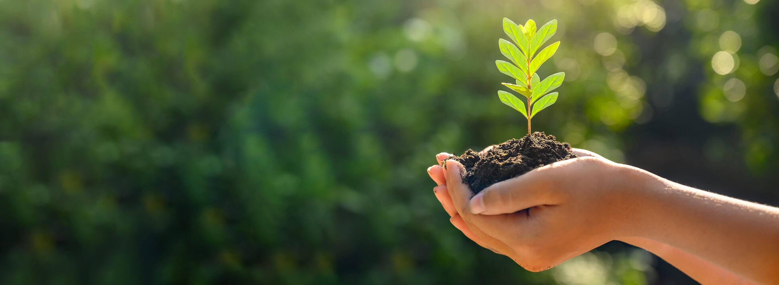 adamjeelife insurance policy