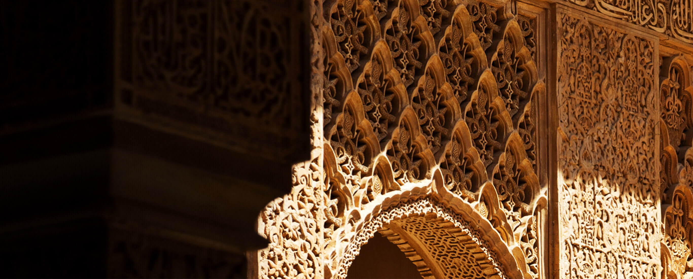 adamjeelife insurance policy