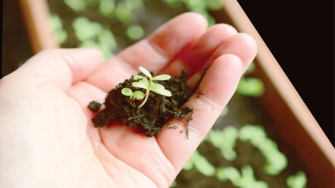 adamjeelife insurance policy