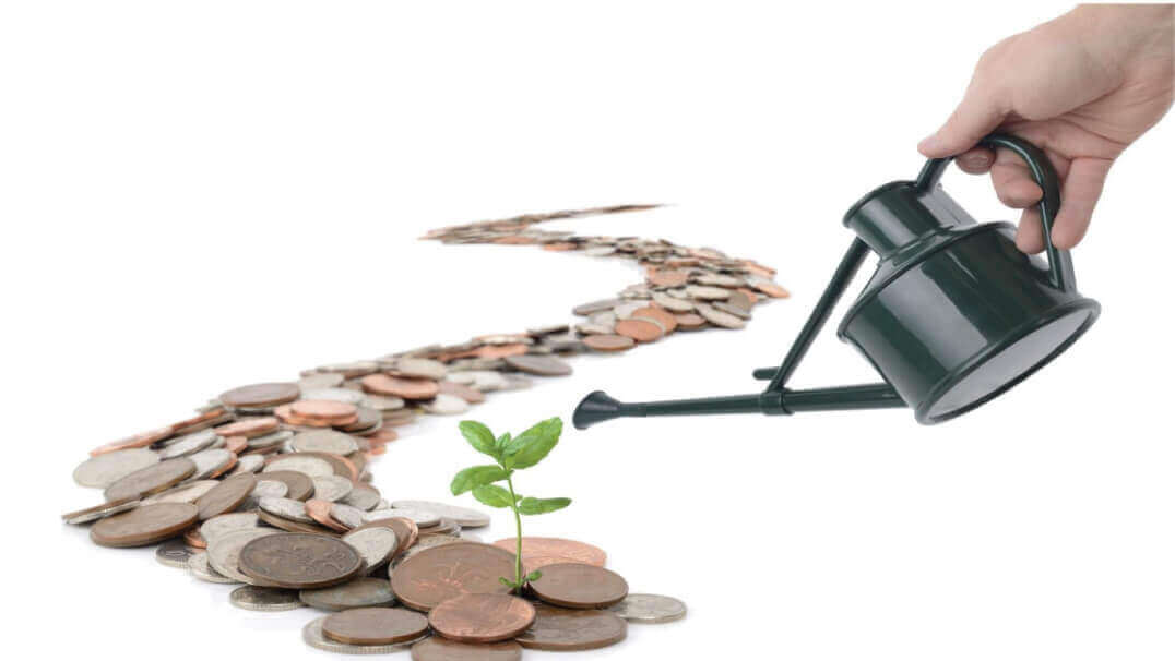 adamjeelife insurance policy