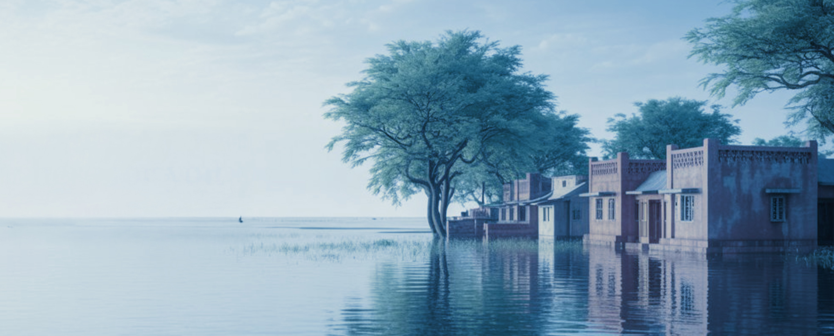 adamjeelife insurance policy